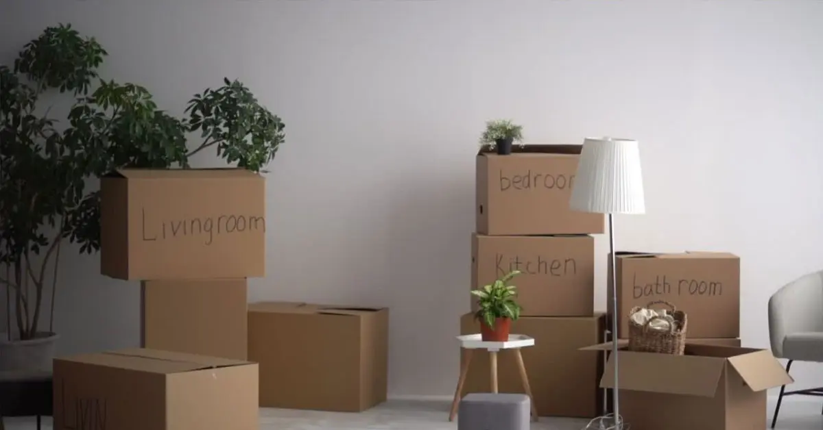 Downsizing Your Home | 7 Expert Tips for Effective Decluttering