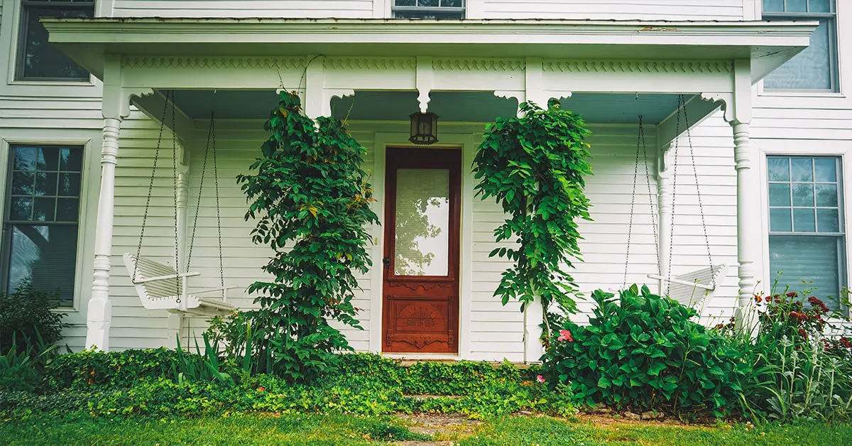 Top Outdoor Cleaning Strategies for Effective Decluttering