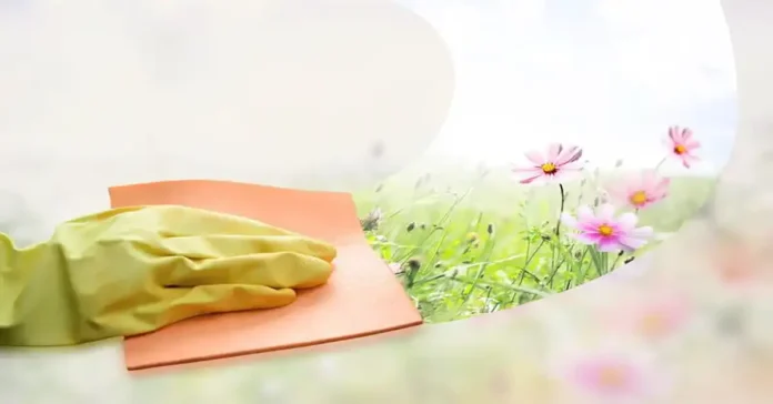10 Essential Spring Cleaning Tips to Refresh Your Home