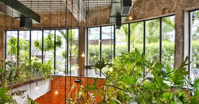 How do you declutter an indoor garden?